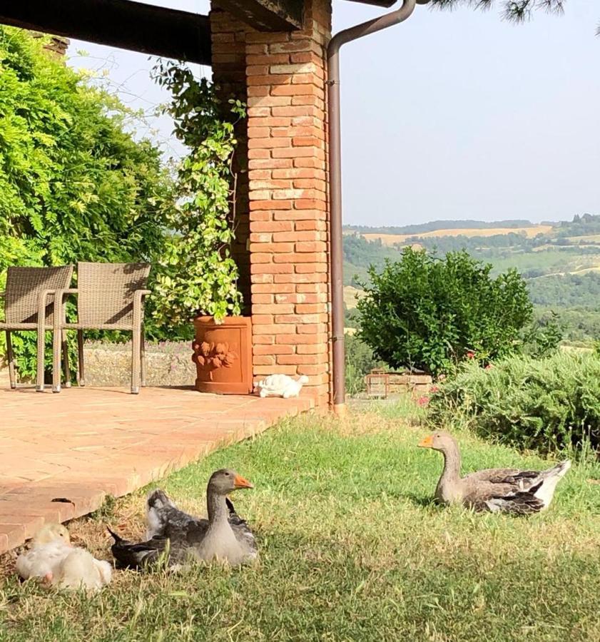 Vila Agriturismo Sole Trequanda Exteriér fotografie