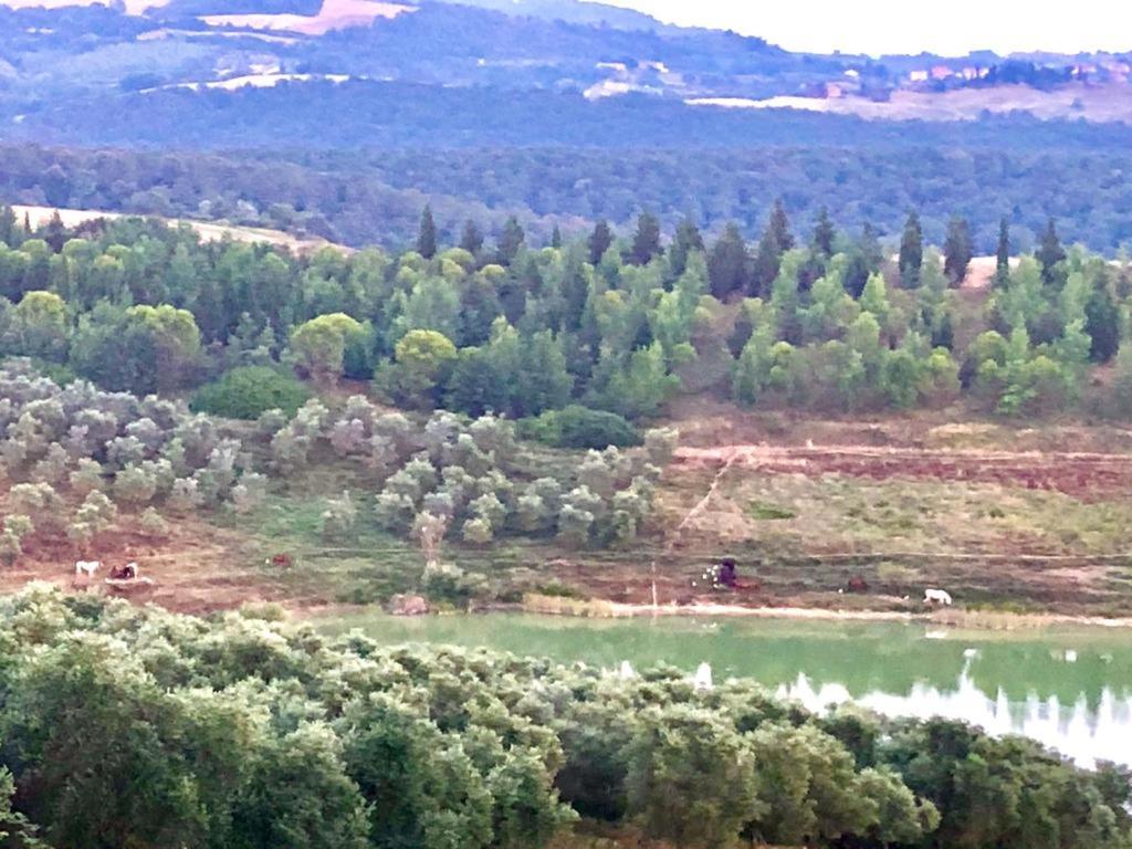 Vila Agriturismo Sole Trequanda Exteriér fotografie