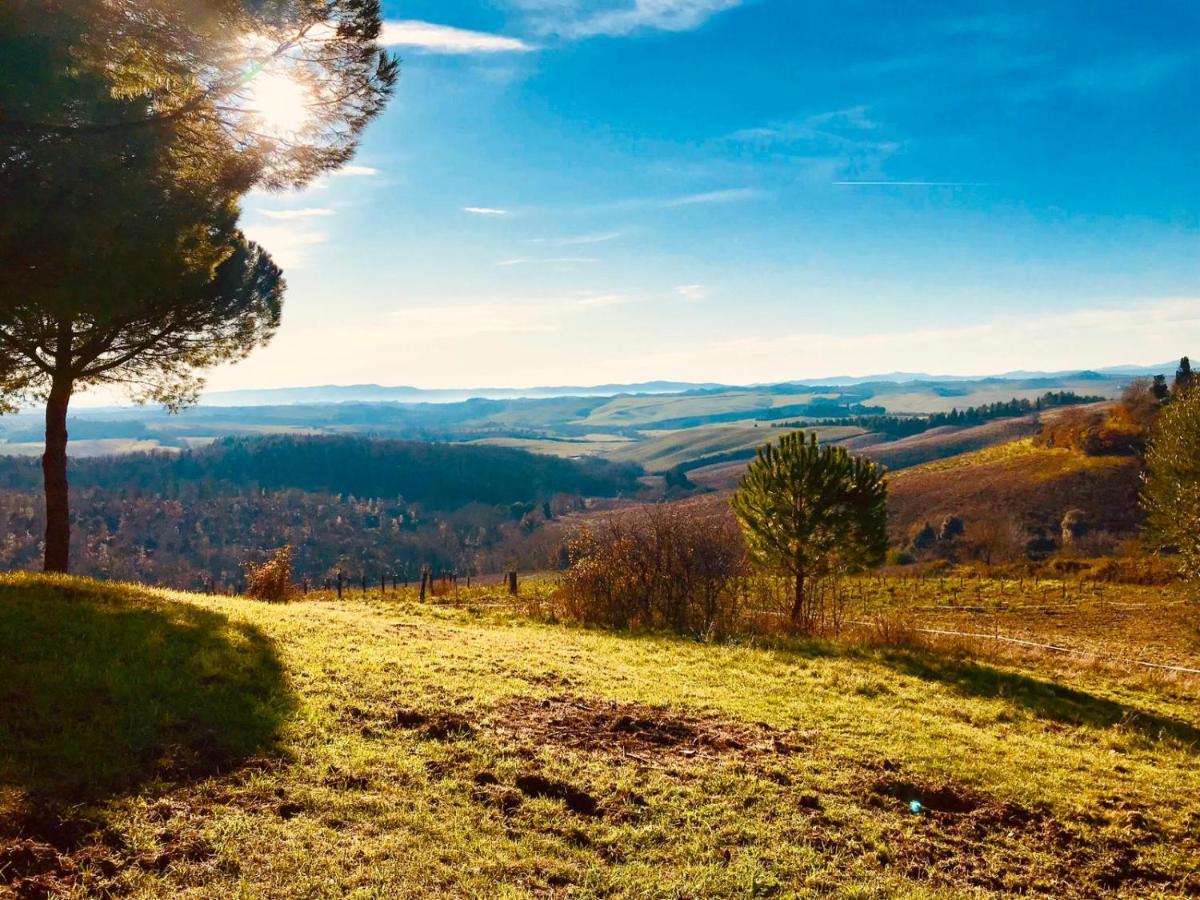 Vila Agriturismo Sole Trequanda Exteriér fotografie